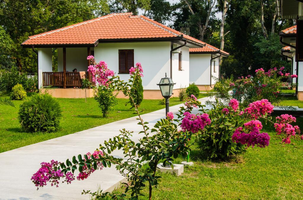 Htp Velika Plaza Ulcinj Hotell Rum bild