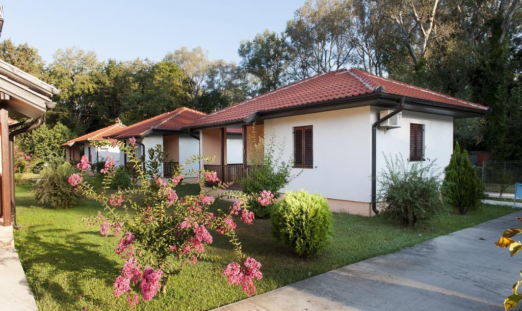 Htp Velika Plaza Ulcinj Hotell Rum bild